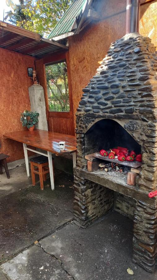 Casa Cu Lavanda Vatra Dornei Exterior foto