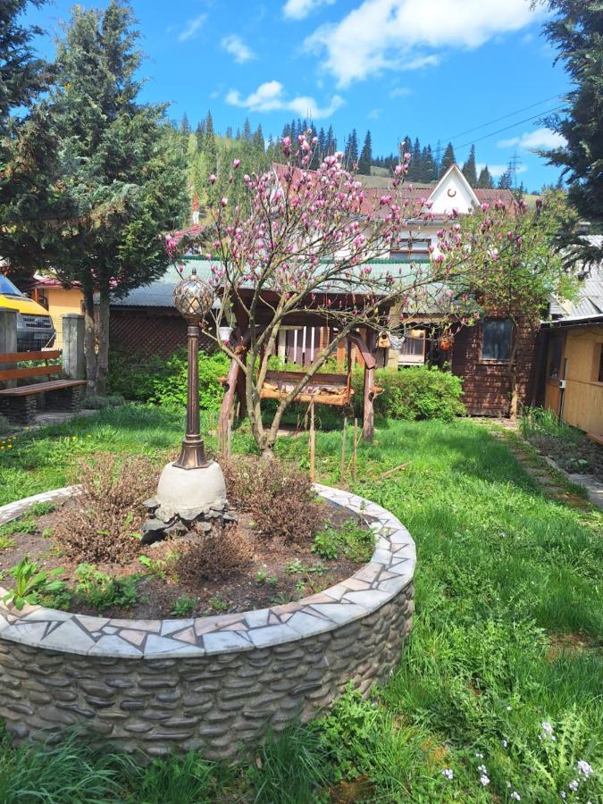 Casa Cu Lavanda Vatra Dornei Exterior foto