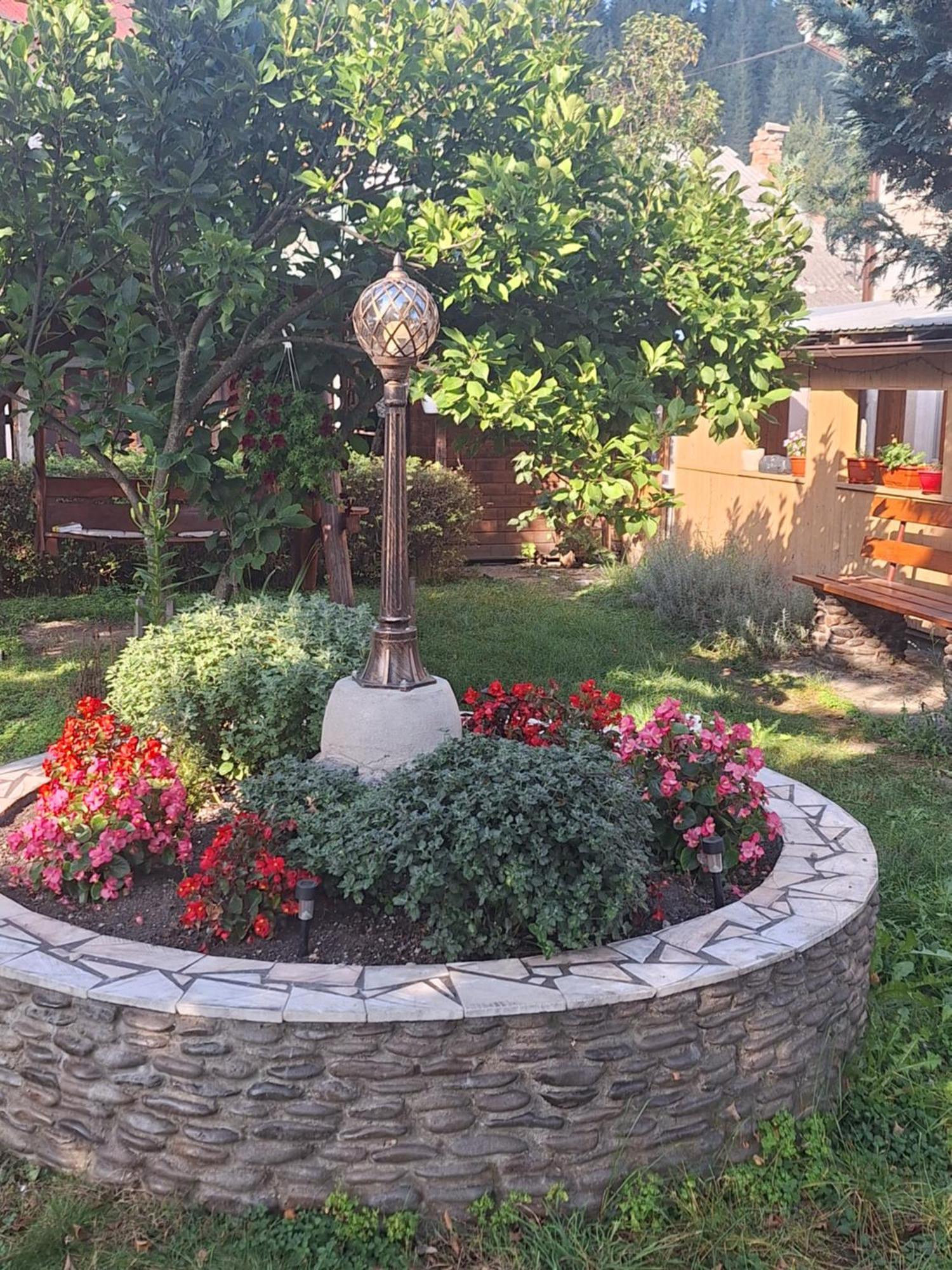 Casa Cu Lavanda Vatra Dornei Exterior foto